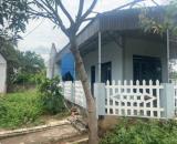 🏡 BÁN NHÀ MÁI BẰNG CẤP 4 – KHU PHỐ 1, PHƯỜNG QUẢNG HƯNG – GẦN KCN & CẢNG LỄ MÔN