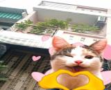 🏡 CHÍNH CHỦ BÁN NHÀ ĐẸP – BÌNH HƯNG HÒA A, BÌNH TÂN – 48M² – BTCT – HẺM XE HƠI – CHỈ 5 TỶ