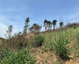 Cần bán 5000m2 đất ôm mặt tiền đường nhựa thế dương view đồi siêu đẹp.