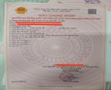ĐẤT ĐẸP - GIÁ TỐT - Vị Trí Đắc Địa Tại Thôn Lộc Hà, Xã Mai Lâm, Huyện Đông Anh, Thành phố