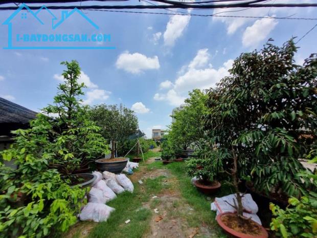 Bán đất mặt tiền thổ cư Bình Chánh, đường Vườn Thơm, 582m2, chỉ 18 triệu/m2.