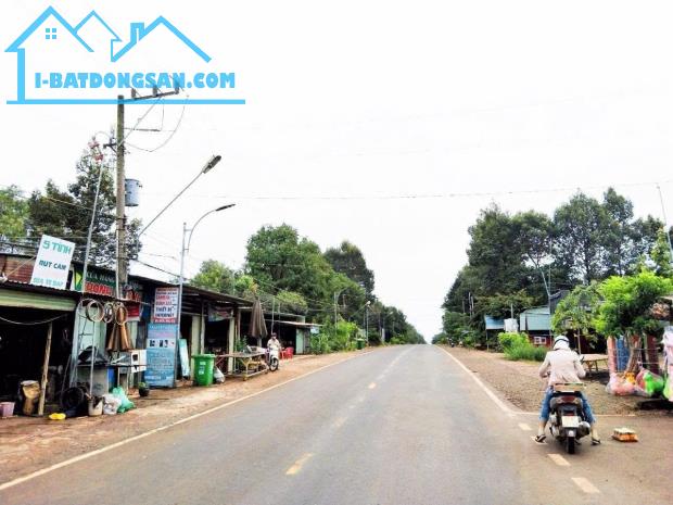 MẶT TIỀN ĐƯỜNG NHỰA DT 340M2 ĐẤT THỔ CƯ NGAY CHỢ THÔNG VÀO KCN DÂN ĐÔNG. GIÁ 220TR - 1