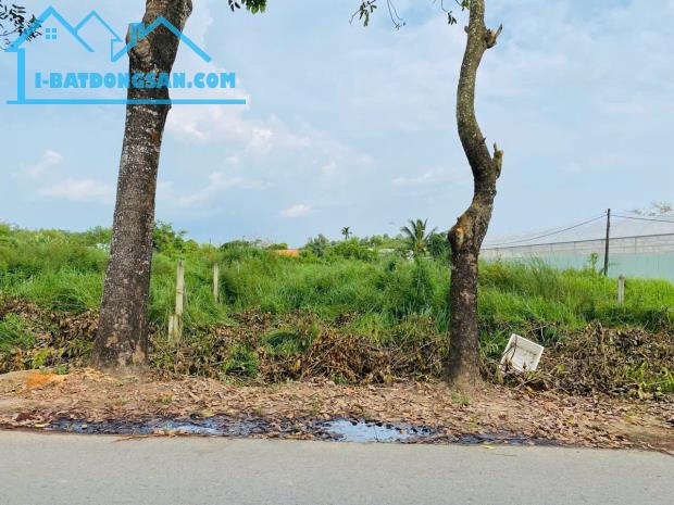 CHỦ GỬI LÔ ĐẤT FULL THỔ 2MT ĐƯỜNG NHỰA ĐOÀN MINH TRIẾT GIÁ 590TR shr - 2
