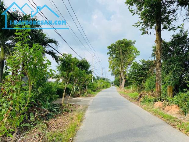 CHỦ GỬI LÔ ĐẤT FULL THỔ 2MT ĐƯỜNG NHỰA ĐOÀN MINH TRIẾT GIÁ 590TR shr