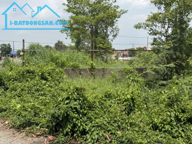 Bán đất mặt tiền Bình Chánh, đường Láng Le Bàu Cò, 1520m2, 3 mặt tiền, chỉ 10+X tỷ - 2