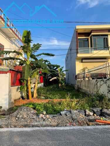 Bán đất Ngũ Đoan - Kiến Thụy - Hải Phòng - 1