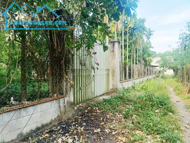 Bán nhà vườn 1/ đường 437 - 1653m2 - 30x59 - 300m2 thổ cư - xã Phú Hòa Đông - Củ Chi