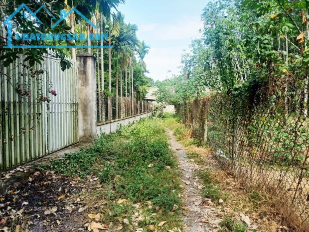 Bán nhà vườn 1/ đường 437 - 1653m2 - 30x59 - 300m2 thổ cư - xã Phú Hòa Đông - Củ Chi - 2
