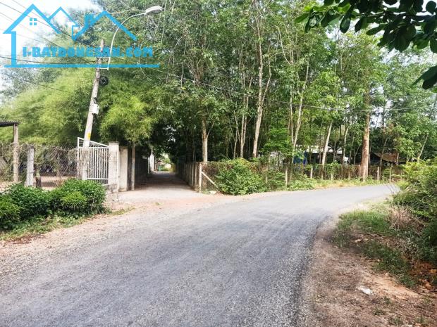 Bán nhà vườn 1/ đường 437 - 1653m2 - 30x59 - 300m2 thổ cư - xã Phú Hòa Đông - Củ Chi - 3