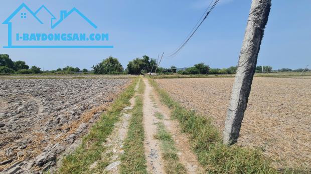 850 triệu đất thổ cư 5m x 39m hẻm Đinh Bộ Lĩnh, Phước Hội, thĩ Xã LaGi sổ riêng