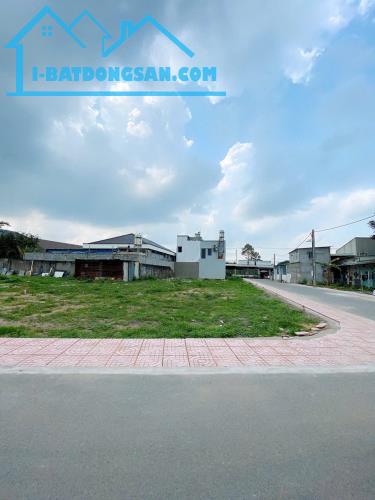 BÁN ĐẤT NGAY CÙ LAO TÂN TRIỀU, SỔ RIÊNG THỔ CƯ GIÁ CHỈ 950TRIỆU/NỀN - 1