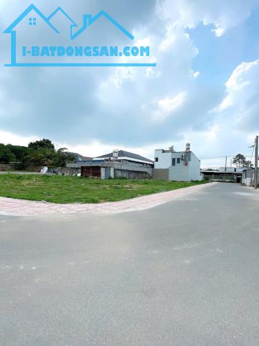 BÁN ĐẤT NGAY CÙ LAO TÂN TRIỀU, SỔ RIÊNG THỔ CƯ GIÁ CHỈ 950TRIỆU/NỀN - 3