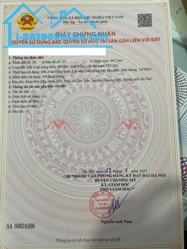 CHÍNH CHỦ BÁN LÔ ĐẤT 467,3M TẠI TÂN TIẾN-CHƯƠNG MỸ-HÀ NỘI - 4