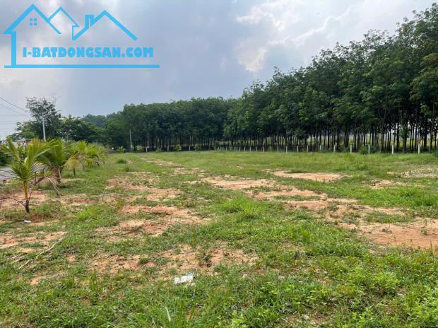 ĐẤT TÂN ĐỊNH BẾN CÁT NGAY CỔNG SAU ĐẠI NAM GIÁ CHỈ 1TY3XX