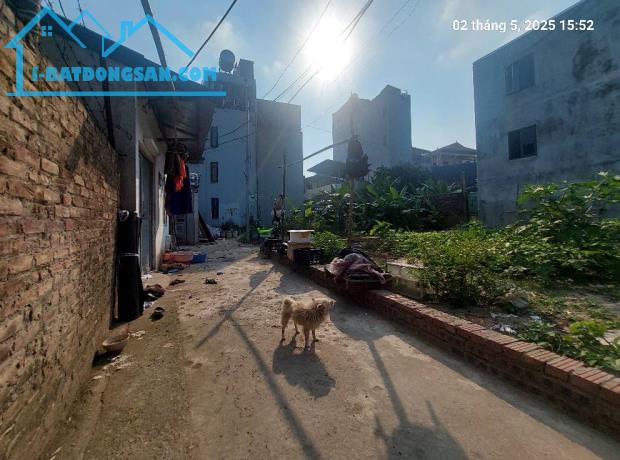 Đất Mai Lâm 95.2m2, mt9m, 7.45 tỷ, 3 thoáng, Đông Anh - 2