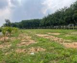 ĐẤT TÂN ĐỊNH BẾN CÁT NGAY CỔNG SAU ĐẠI NAM GIÁ CHỈ 1TY3XX