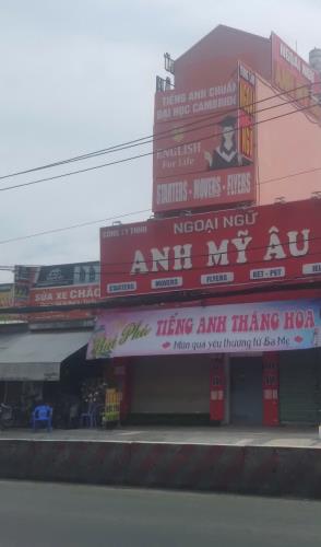 Bán nhà cấp 4 có 5 phòng trọ, 80m² hẻm 4m Huỳnh Tấn Phát, Quận 7 – Gần Phú Mỹ Hưng - 4
