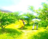 BÁN 2800M ĐẤT KÉP  HỒNG GIANG Thị Xã Chũ  Bắc Giang, Gía Đầu Tư nhỉnh 3 tỷ