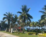 RẺ NHẤT KHU VỰC - NHÀ 2 TẦNG 1 TUM - CHẾ LAN VIÊN - THÔNG TRẦN VĂN DƯ - SÁT BIỂN MỸ KHÊ