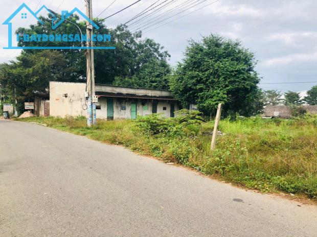 CẦN SANG LẠI 6 NỀN ĐẤT 30X50=1500M2 THỔ CƯ SHR MT ĐƯỜNG LỚN CẠNH CHỢ DÂN ĐÔNG GIÁ 220 TR
