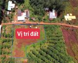 BÁN FULL 2 SỔ (10X50=500M2) ĐẤT THỔ CƯ SỔ RIÊNG NGAY SÂN BAY, KHU DU LỊCH DÂN ĐÔNG 239TR