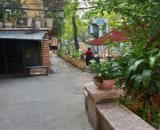 Cho thuê nhà Vĩnh Hồ ngay sát chợ 50m2, 3 phòng, KD online, VP, hàng ăn sạch, 10 Triệu