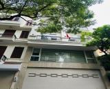 SIÊU HIẾM - DUY NHẤT BÁN NHÀ PHỐ NGUYỄN VĂN NGỌC - LIỄU GIAI - 80M2 - 5 TẦNG THANG MÁY