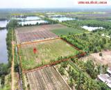 Bán Gấp 1 Hecta Đất Vườn Lương Hòa, Bến Lức - Giá Tốt!