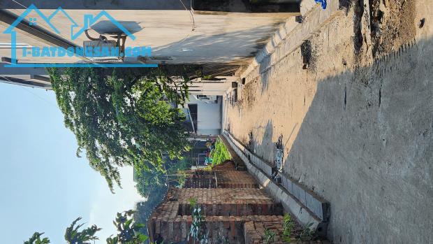 Chỉ 2.x tỷ đường trải nhựa ô tô vào đất Nam Hồng, Đông Anh - 2
