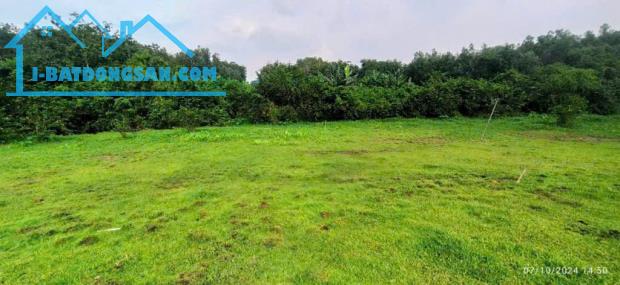 Bán 3500m2 đất thổ cư Long Đức gần SÂN BAY Long Thành chỉ 6,5 tỷ - 1