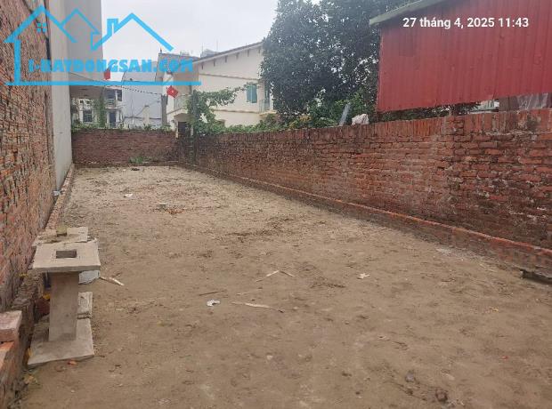 Đất Nam Hồng, 77m2, Mt4.5m, 4.5 tỷ, Đông Anh, ô tô, 3 thoáng. - 3