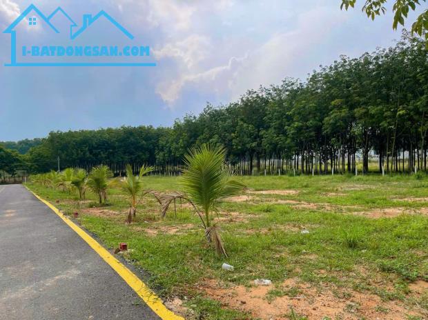 ĐẤT TÂN ĐỊNH BẾN CÁT NGAY CỔNG SAU ĐẠI NAM GIÁ RẺ