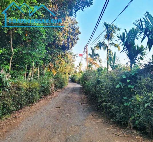 CƠ HỘI ĐẦU TƯ – NGAY LÔ ĐẤT 1.3HA GIÁ CHỈ 650 TRIỆU/SÀO! CUÔR ĐĂNG GIÁP HÒA THUẬN-BUÔN - 1
