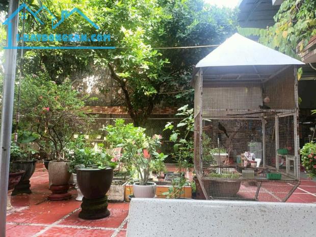 Nhà sân vườn ở mặt tiền ngay trung tâm Hải Châu, TP. Đà Nẵng - 3