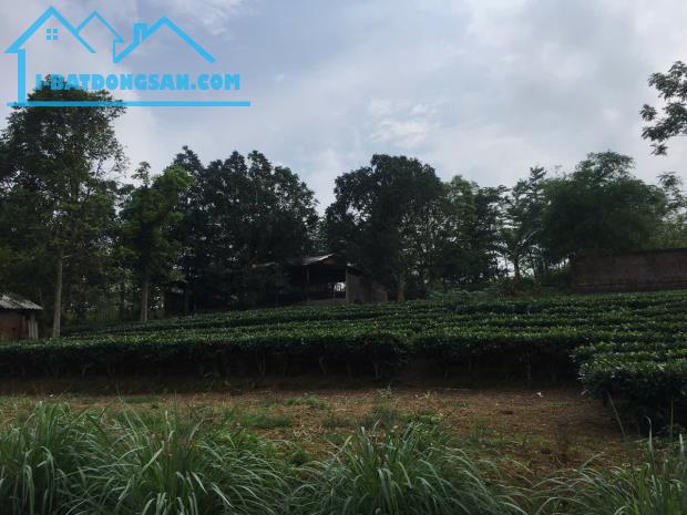 ĐẤT ĐẸP - GIÁ ĐẦU TƯ Chính chủ cần bán nhanh lô đất vị trí đẹp tại huyện Ba Vì, Tp Hà Nội - 1