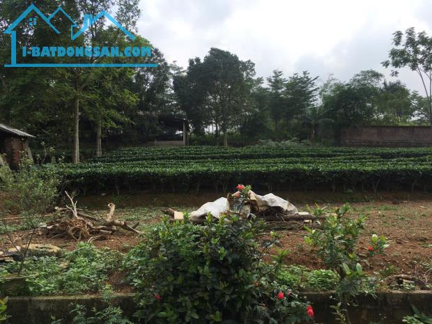 ĐẤT ĐẸP - GIÁ ĐẦU TƯ Chính chủ cần bán nhanh lô đất vị trí đẹp tại huyện Ba Vì, Tp Hà Nội