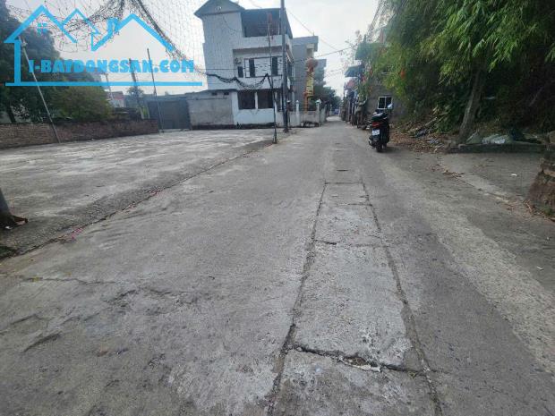 Bán đất Nam Hồng, 88m2, giá nhỉnh 4 tỷ, Gần chợ, Ô tô 7 chỗ vào nhà - 2