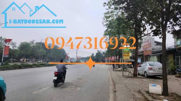 Lô đất cực Vip cực tiềm năng, kinh doanh đỉnh tại Đại Mạch, Đông Anh - 2