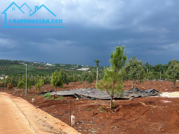 Cần Bán Đất Gần Chợ Tân Hà Lâm Hà Diện tích 302m² Giá 495 Triệu Thổ cư 177m²