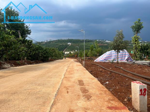 Cần Bán Đất Gần Chợ Tân Hà Lâm Hà Diện tích 302m² Giá 495 Triệu Thổ cư 177m² - 2