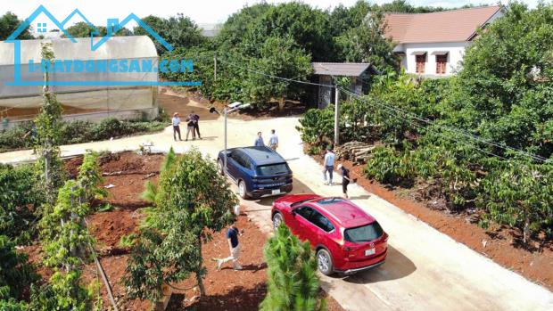 Bán Đất Tân Hà Lâm Hà giá rẻ 495 triệu có 177m² thổ cư 7m mặt tiền sổ hồng riêng cách chợ