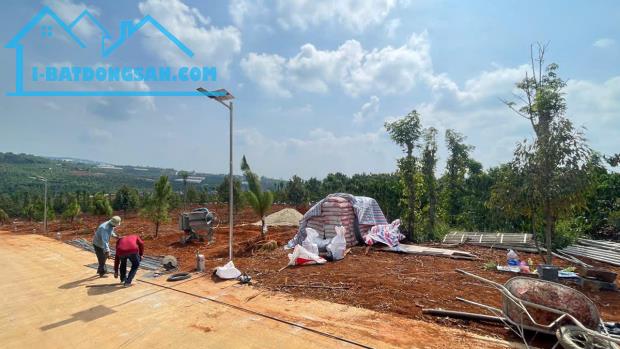 Bán Đất Tân Hà Lâm Hà giá rẻ 495 triệu có 177m² thổ cư 7m mặt tiền sổ hồng riêng cách chợ - 2