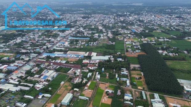Mặt tiền đường nhựa – Gần Đại lộ Đông Tây & Khu Logistics 620ha – Giá chỉ 1,35 tỷ! - 3