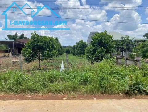 214m2 có 100m2 đất ở tại Dầu Tiếng Bình Dương giá 295 triệu