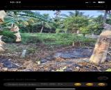 - Bán đất khu vực Đại Phước, Càng Long, Trà Vinh