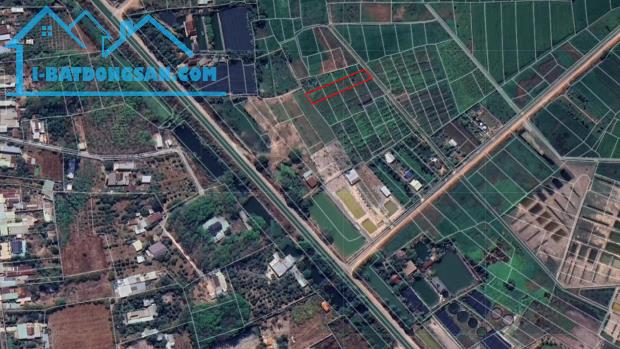 Đất vườn giá tốt, xã Nhuận Đức, đường 528, Củ Chi, diện tích 804.6m2 - 4