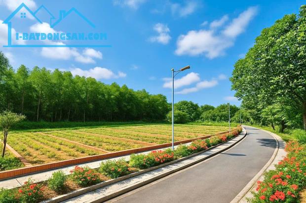 🌟 CƠ HỘI VÀNG ĐẦU TƯ BĐS VIEW SÔNG - TẠI NAM PHƯỚC 🌟