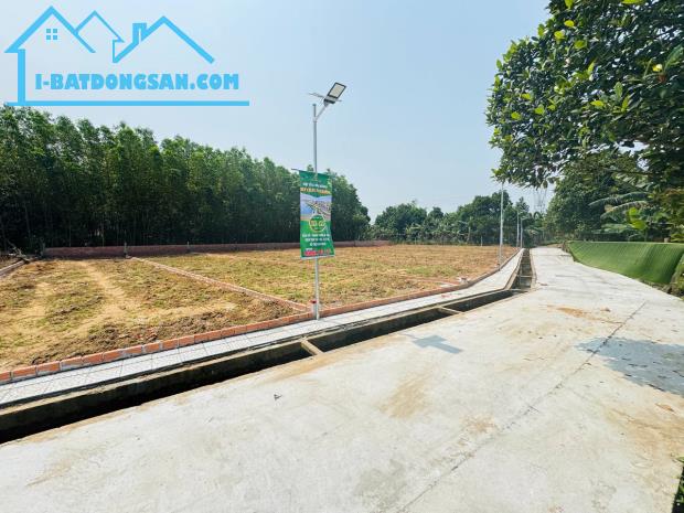 🌟 CƠ HỘI VÀNG ĐẦU TƯ BĐS VIEW SÔNG - TẠI NAM PHƯỚC 🌟 - 1
