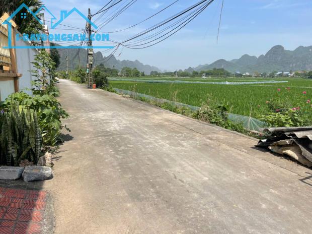 900tr Có Ngay Sổ Đỏ Hà Nội 82m Thổ Cư- Đầu Tư Xây Nhà Ở Vị Trí Quá Đẹp - 2