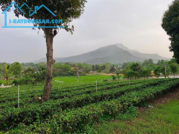 Bán đất Vân Hòa, sát sân bóng, gần Yên Bài, Làng văn hóa, 599m, vuông, nở hậu, chỉ 4.39tỷ - 3